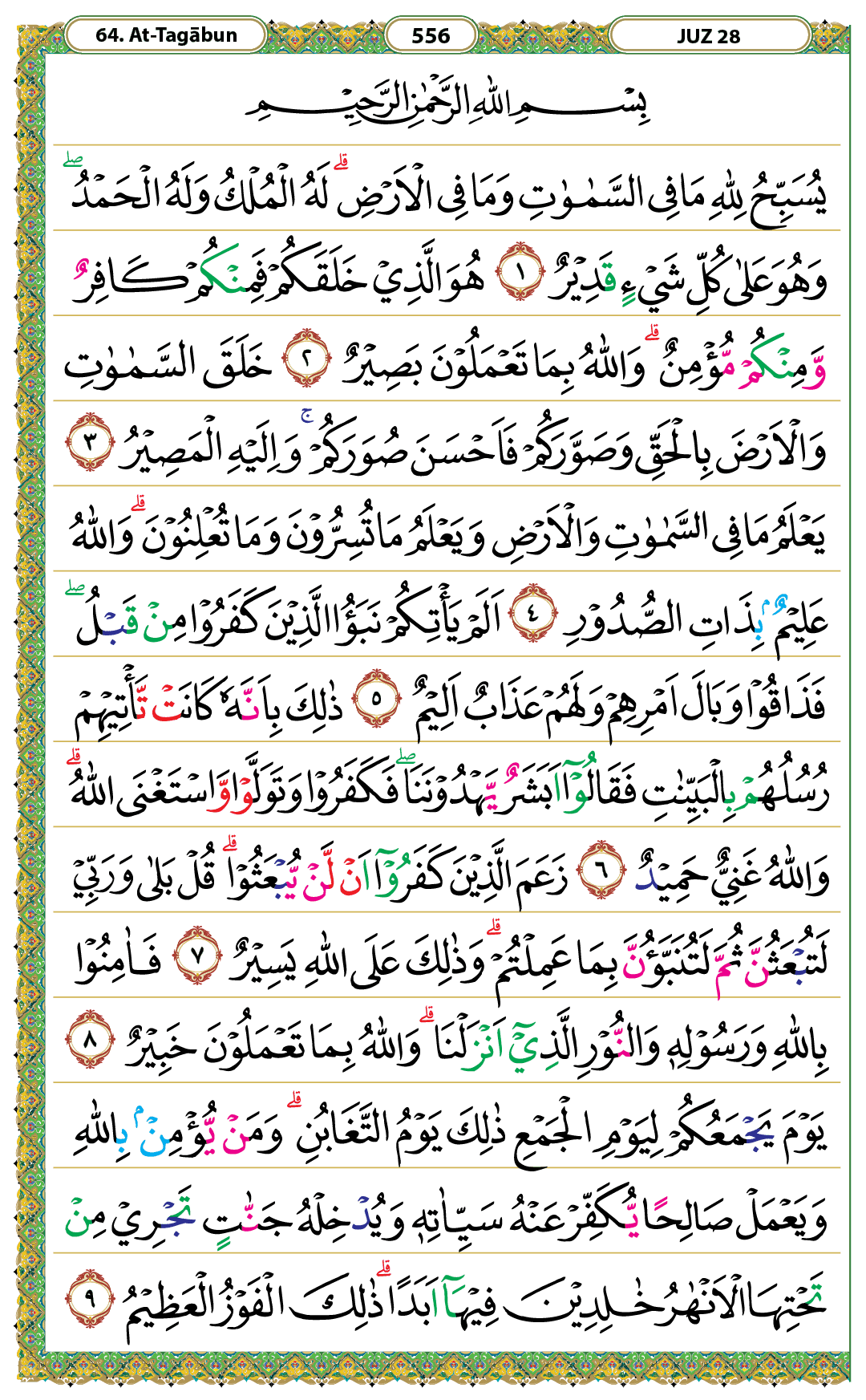 Surah At-Taghabun Halaman 556 - Mushaf Kemenag